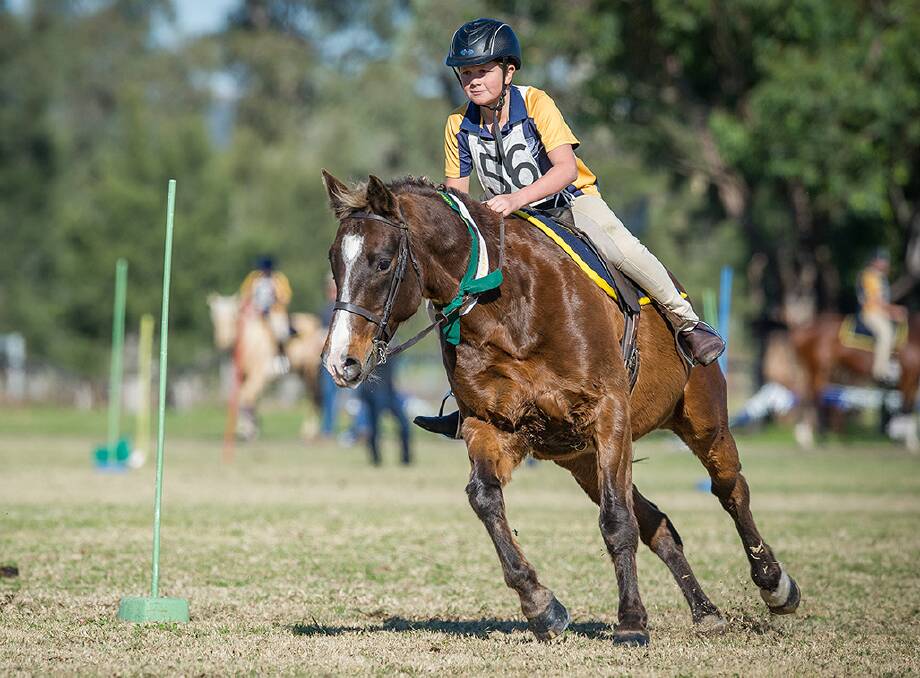 EXCITING: Children will get the chance to show their skills during the inaugural Scone Grammar School Stockman's Challenge at White Park on Monday.