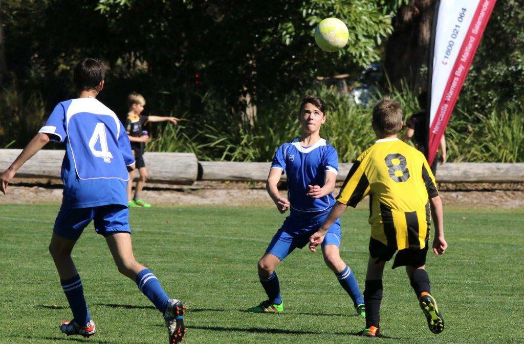 FOCUSED: Scone Mustangs' Braedy Shields preparing for a header against Nelson Bay this season. Picture: David Johnson