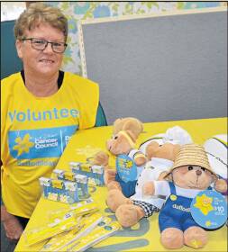 READY: Scone and District Cancer Support Group member Cath Coady encourages
everyone to support this year’s Daffodil Day.