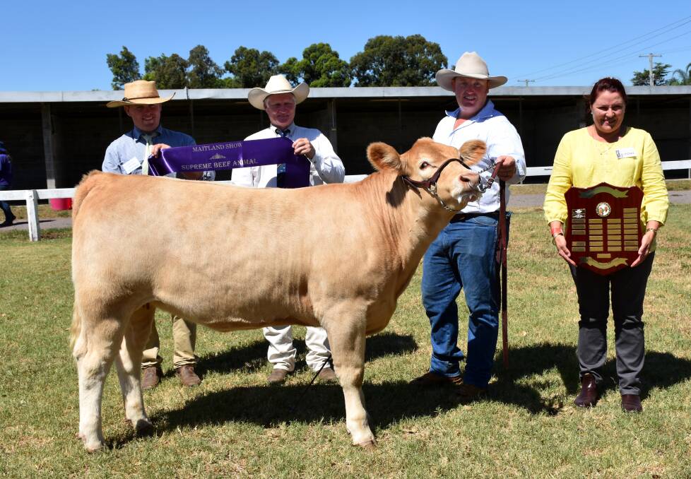 GIRL POWER: The supreme champion exhibit of the Maitland Show was Glenlea Charol pictured with judges Chad Williamson, Rob Maxwell, exhibitor Travis Worth, Tractor Charolais, Denman and Leonie Ball presents the Allan and Joan Ball Memorial Trophy.