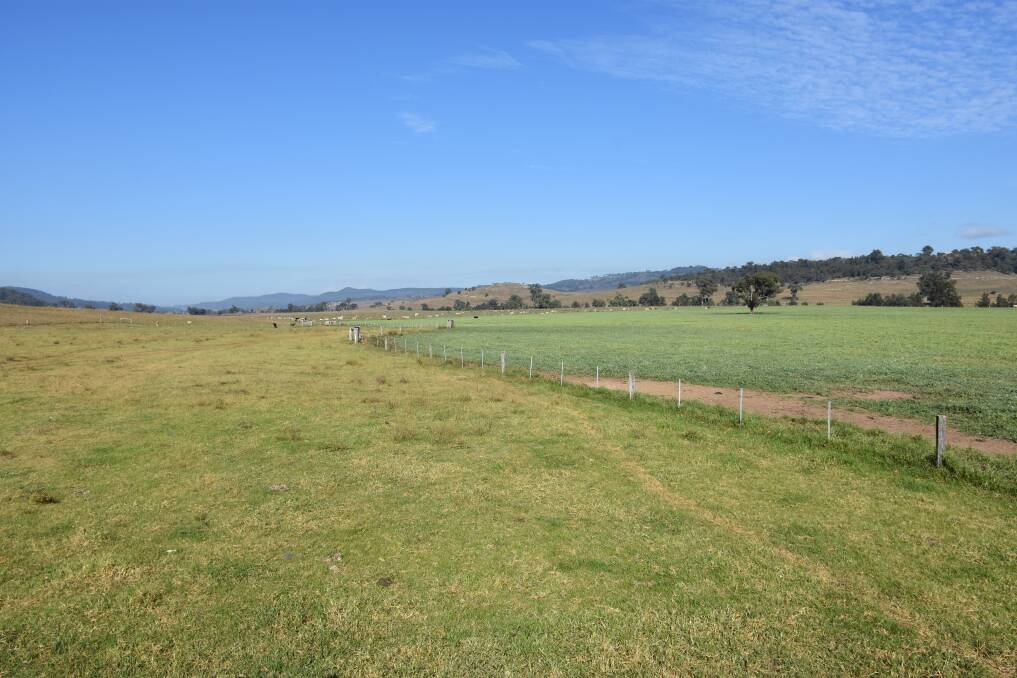 Farmland maintained for grazing purposes at Reedy Valley. 