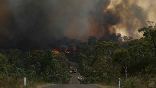 Fast moving bush fire at Widgiewa Rd on Captains Flat Road near Queanbeyan Photo: Jay Cronan
