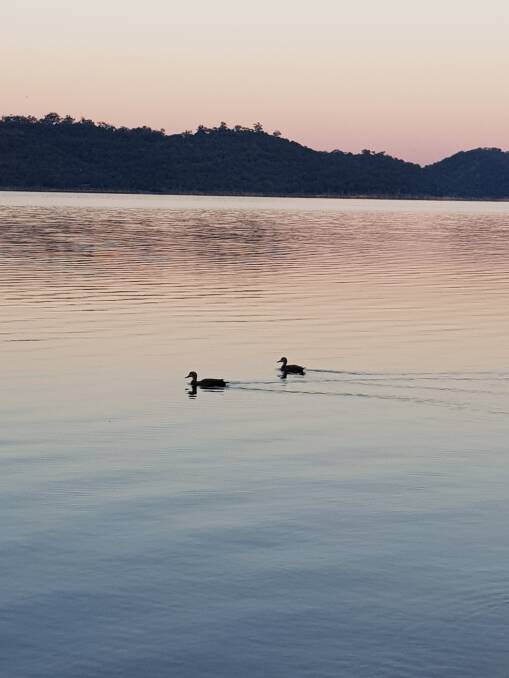Lake Glenbawn captured by Jennifer Grenenger, from Scone.