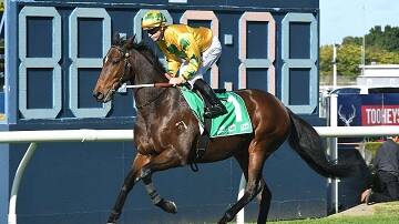 Last Try Wins finished second in his most recent start in Sydney at Rosehill Gardens on July 1. Pic: Bradley Photographers