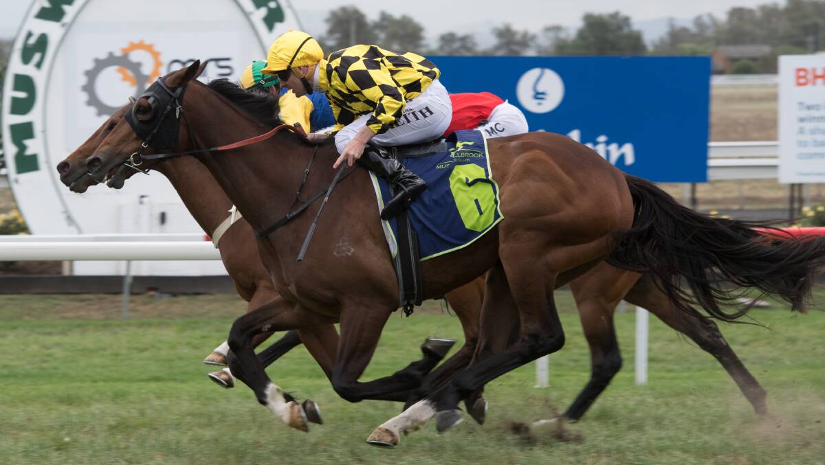 OH SO CLOSE: Caerless Choice, trained by Paul Messara, wins the MRS Services Group Muswellbrook Cup (1500m) in a tight photo finish on Friday. Pic: KATRINA PARTRIDGE PHOTOGRAPHY 