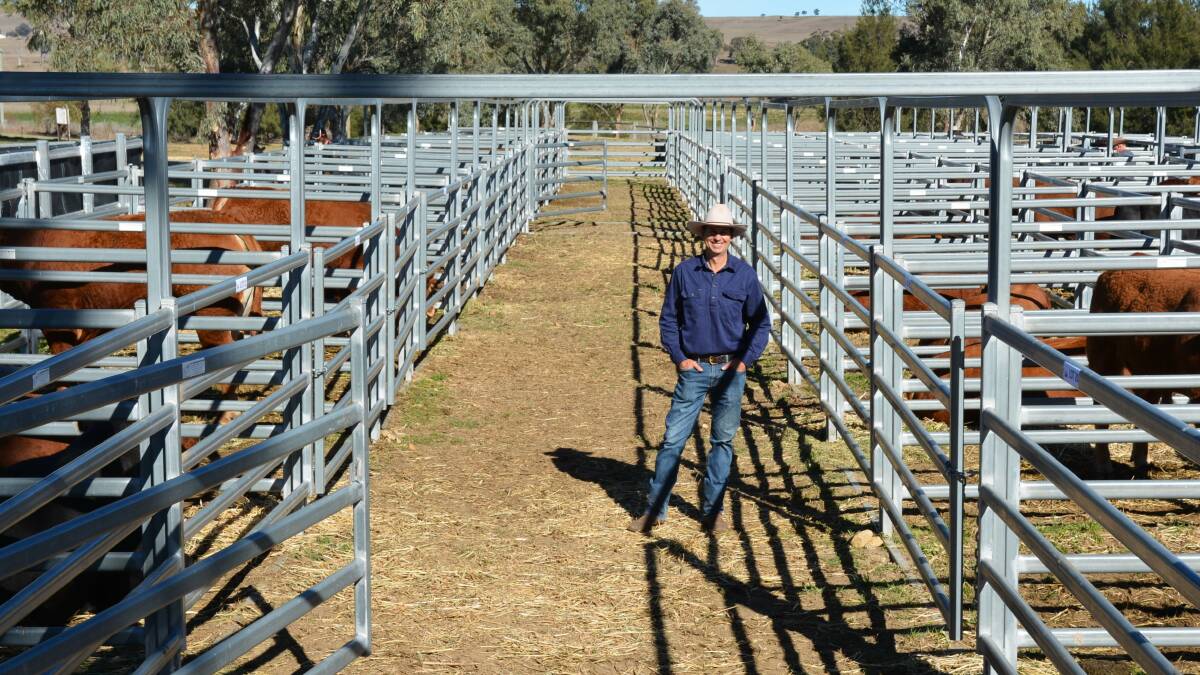 GETTING READY: Show president Pat Ryan said the Merriwa Springtime Show remains one of the more progressive small country shows left on the calendar. 