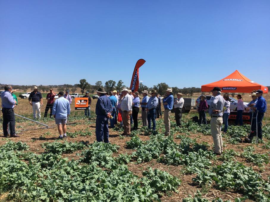 ADVICE: Landholders headed to Dartbrook for lunch and a tour of AusWest Seeds pasture trials featuring an exclusion fencing display.