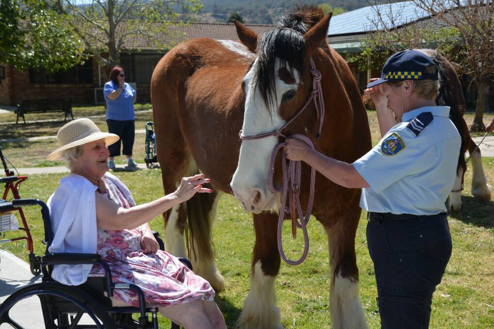 GENTLE GIANT: Resident Velma Moxham with Jannelle Bawden from St Heliers Correctional Centre interacting with 27 year old Clydesdale 'Jimbo'.
