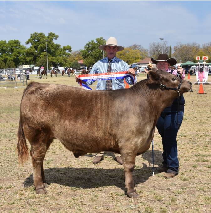 Champion led steer at Singleton and Merriwa shows was a Murray Grey x Limousin pictured at Singleton with judge Tim Vincent and Kristy Walker.