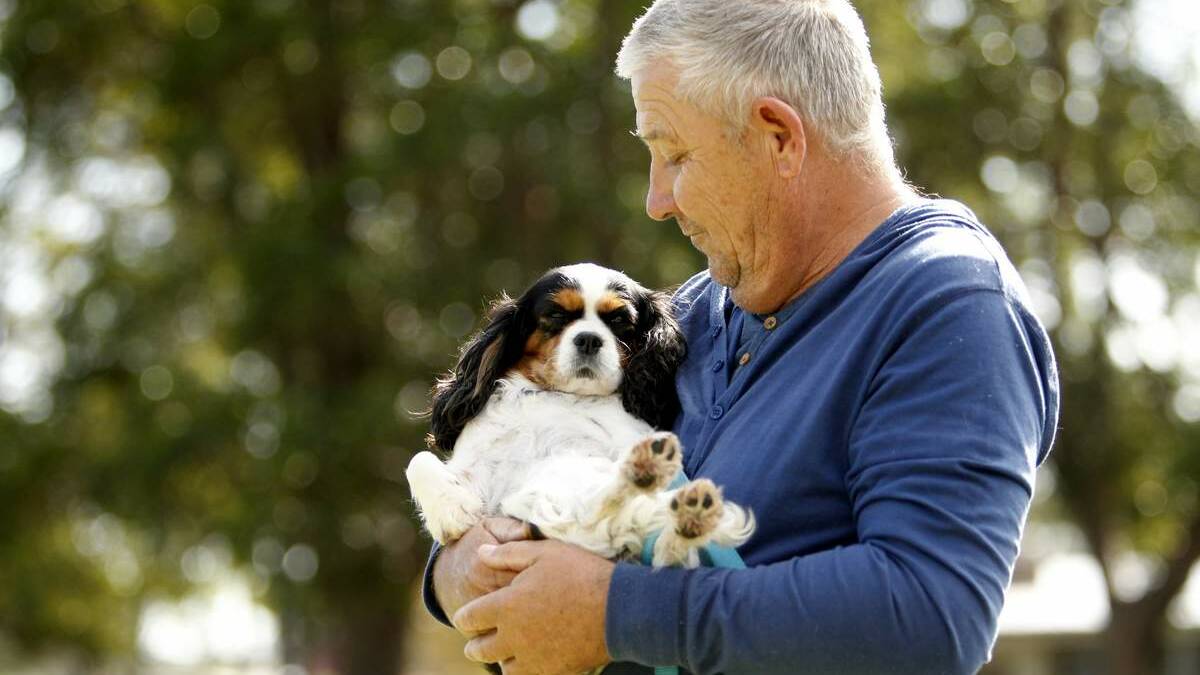 Hunter Animal Rescue is looking after 10 of the 16 dogs RSPCA Rutherford rescued from puppy farm in Inverell. These dogs have been ill treated; ear infections, rotten teeth, twisted spines, deformed feet etc. Pictured shows Steve Scully with Molly. PIcture: Jonathan Carroll