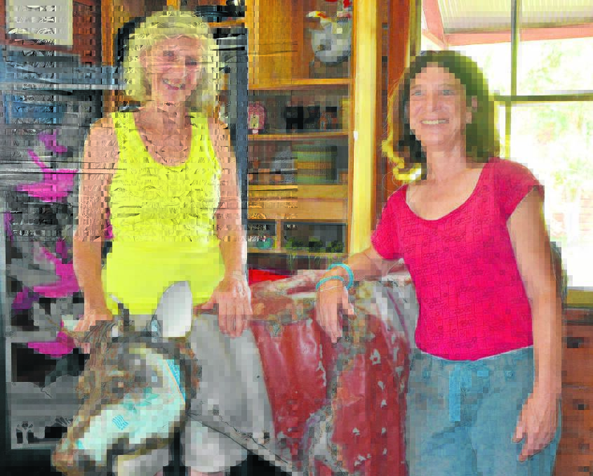 Artists and great friends Charlotte Drake-Brockman and Fran Wachtel with one of their three dimensional cows created from old tin. The ladies’ sheep collection is currently on exhibition as part of ‘Sheepshape’ at The Rocks in Sydney.