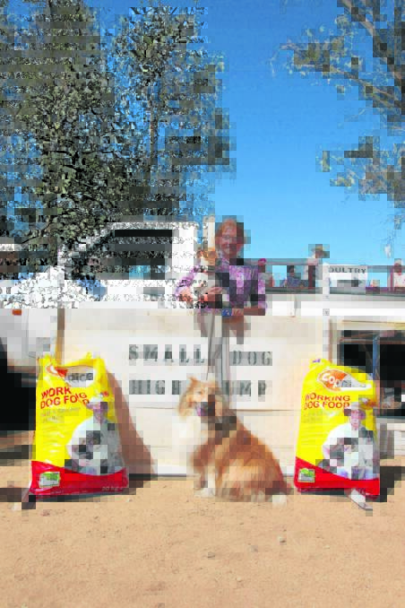 Molly Northam of Scone was tickled pink to come first and second in the small dog high jump class at the Merriwa Springtime Show.
