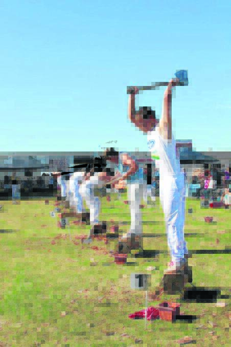 There will be plenty of wood chop action this Saturday at the Merriwa Springtime Show.