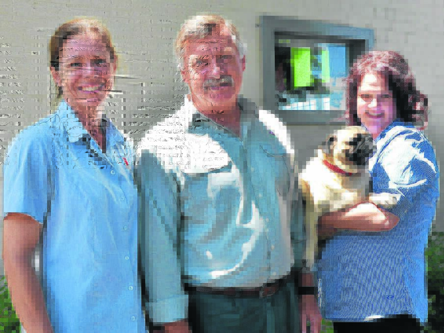 Pet Medical veterinarian Peta-Gay Railton, Upper Hunter Shire Council ranger David Shields and Pet Medical public relations representative Kelly O’Meara with ‘Dudley’.