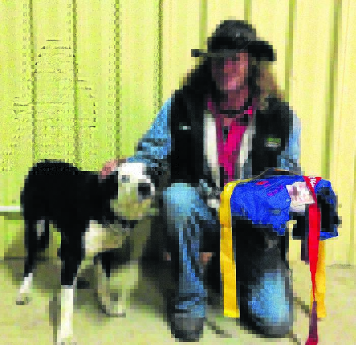 Local Ellerston competitor and Ellerston Public School P and C member Mike Clark who had his first attempt at a trial with Nardoo Sarge and placed fourth in the Local Bush Dog Trial. 