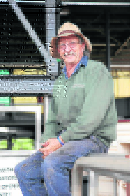 Upper Hunter Shire Council saleyard operations manager Steve Kemp is still ‘on the fence’ waiting for feedback from saleyard users about changes to Tuesday’s sale format.

