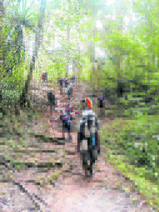 The Cooktown to Kokoda team are led down a rough slope by their leader during their Kokoda trek. Pictured following the leader is Jenny Heanly.