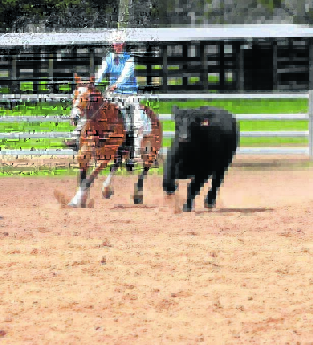 Anastasia Martin of Merriwa put her horse ‘Comedy’ through his paces at the campdraft.
