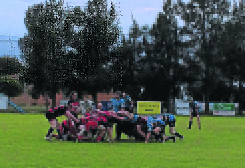 The Scone Brumbies were victorious over Singleton in the first game last weekend. 