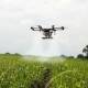 DRONE: A drone being used to spray sugar cane fields. Picture: Pixabay