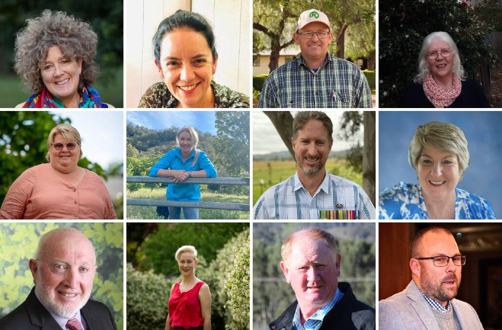 CANDIDATES: The 12 candidates standing for election to the Upper Hunter Shire Council in 2021. (From right to left, top to bottom in ballot paper order) Sue Abbott, Allison McPhee, Adam Williamson, Belinda McKenzie, Patricia Taylor, Tayah Clout, Chris North, Lee Watts, Ron Campbell, Elizabeth Flaherty, Maurice Collison, James Burns. Pictures: Supplied