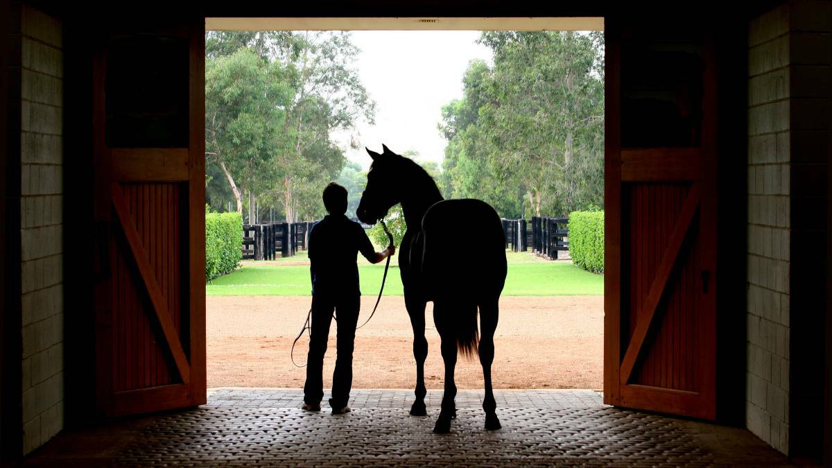 HUNTER: A thoroughbred stud in the Hunter Valley, one of three International Thoroughbred Breeding Centres of Excellence. Picture: Hunter Thoroughbred Breeders Association