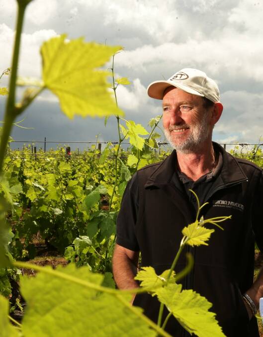 SERVICE: Brokenwood Wines managing director and chief winemaker Iain Riggs is named a Member of the Order of Australia on the 2018 Queen's Birthday honours list.