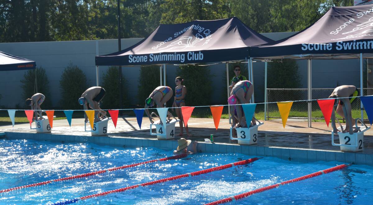 ON YOUR MARKS: Lake Macquarie Swimming Club members diving into a fun session on Sunday morning.