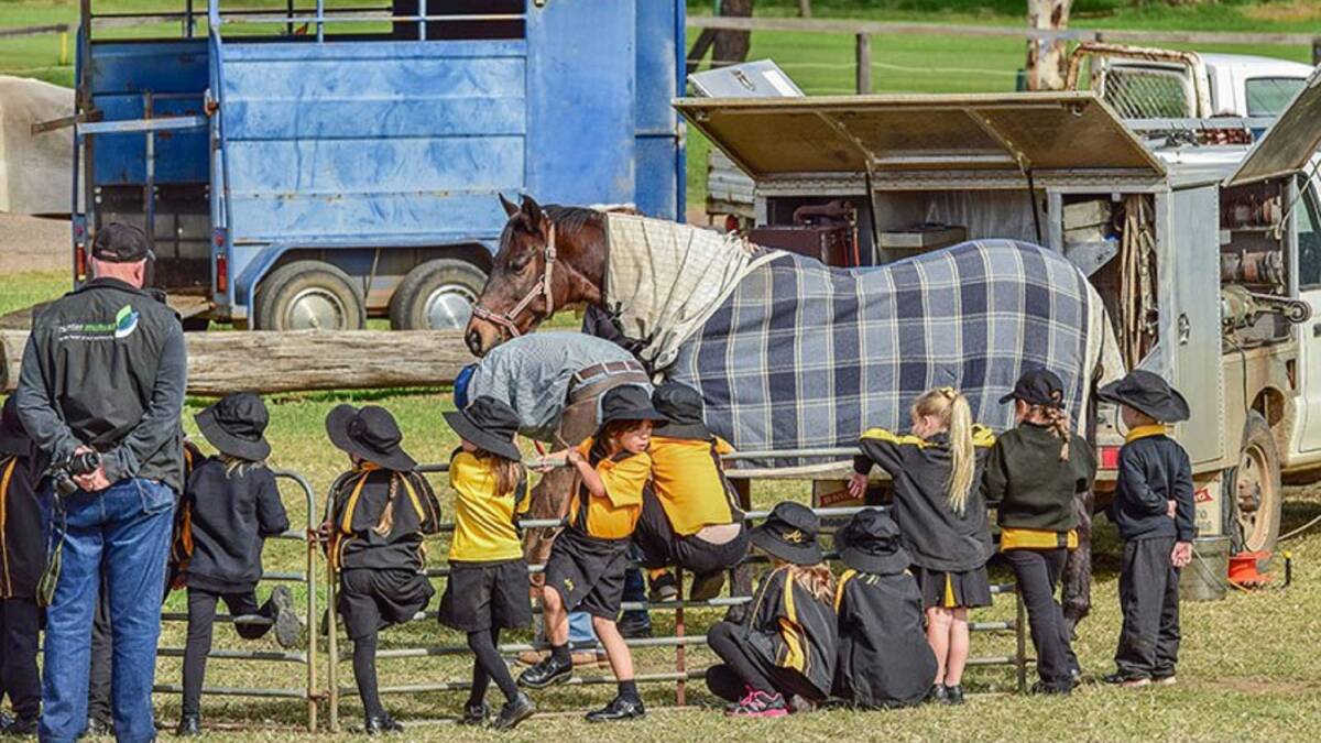 FARM FOCUS: The Jack Johnston Memorial Gala Day has a focus on displaying aspects of rural life, particularly to the younger generation who may not have experienced such things. 