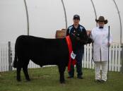 The grand champion school carcase was awarded to Scone High School for their Angus steer bred by BW and MM Brooker, Rouchel, pictured with students Ryan Davidson and Brooke Sampson. Picture supplied.

