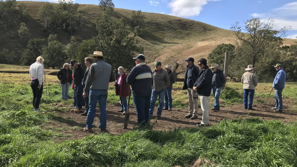 LEARNING: Participants in the recent field day held near Singleton were able to get out into the paddocks and see the pastures now thriving after the drought. Photos supplied.
