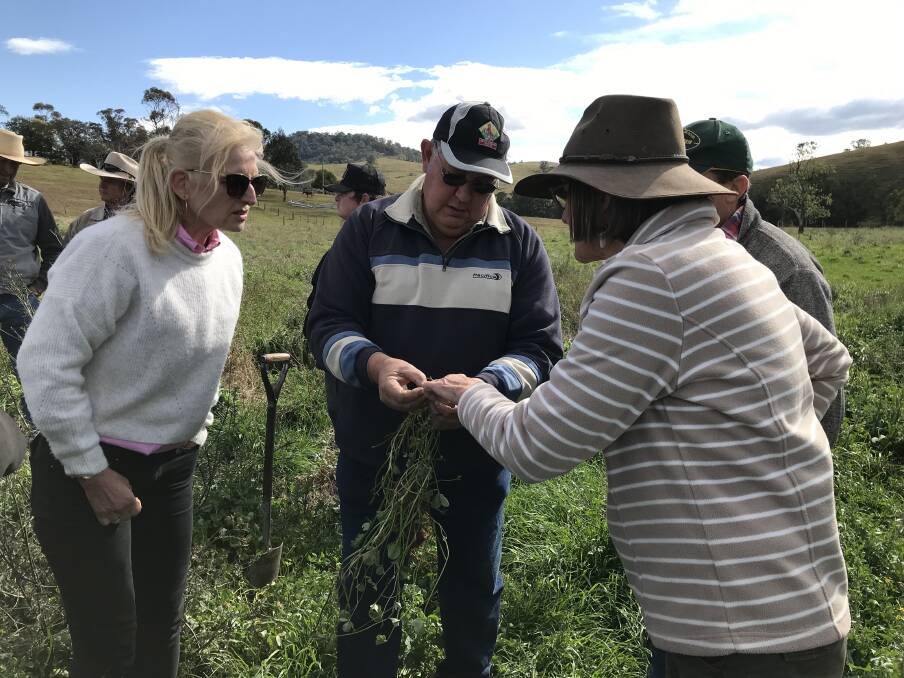 Agronomist Neil Nelson shows farmers the root development of pastures sown on the Richards family's property.