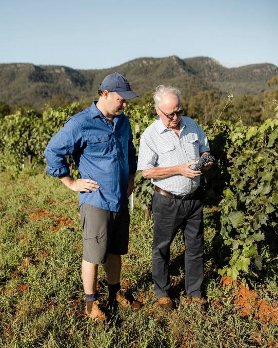 Fourth generation Bruce Tyrrell and fifth generation Chris Tyrrell, inspecting the fruit before harvest in their Pokolbin vineyard. Picture Tyrrell Wines. 