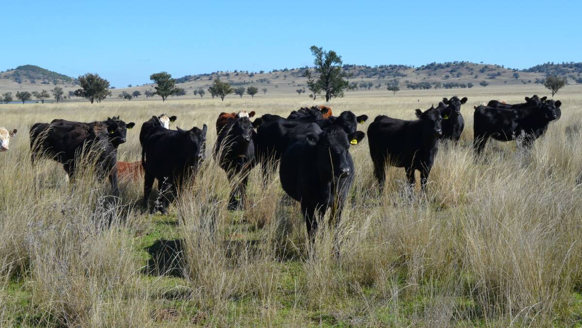Increased financial assistance for NSW farmers