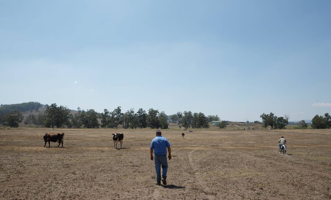 THE BIG DRY: Dairy farmer Jamie Marquet walks among the barren paddocks at his Wallarobba farm. Find out below how you can help. Picture: Max Mason-Hubers.