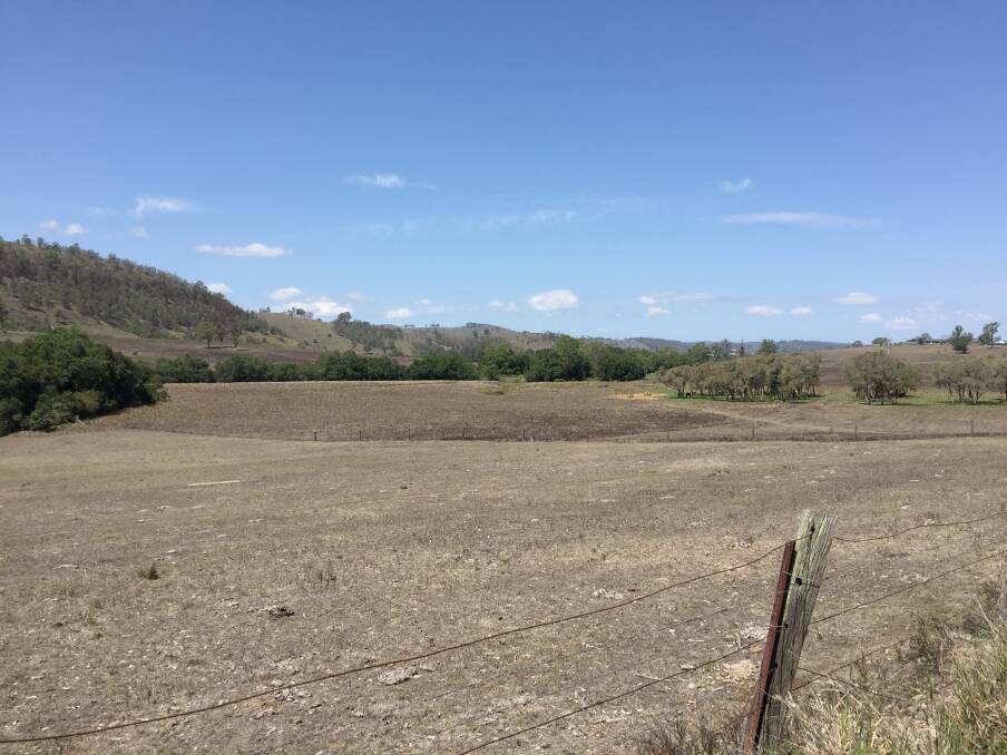 THE BIG DRY: Farm land north of Dungog taken in March 2018. Picture: Belinda-Jane Davis