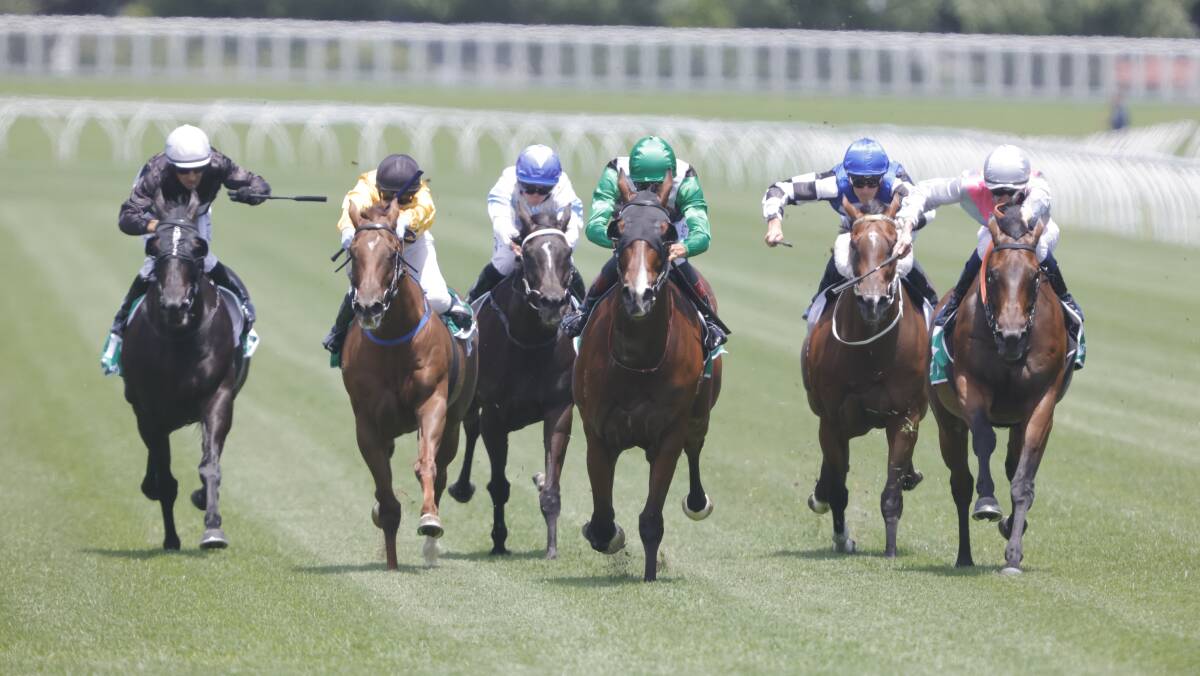 DAILY DOUBLE: Banju (third horse from right) en route to victory at Randwick's Kensington track on Saturday. Scone-based trainer Lyle Chandler struck again later in the afternoon with Purple Cup at Gilgandra. Picture: Jenny Evans/Getty Images 