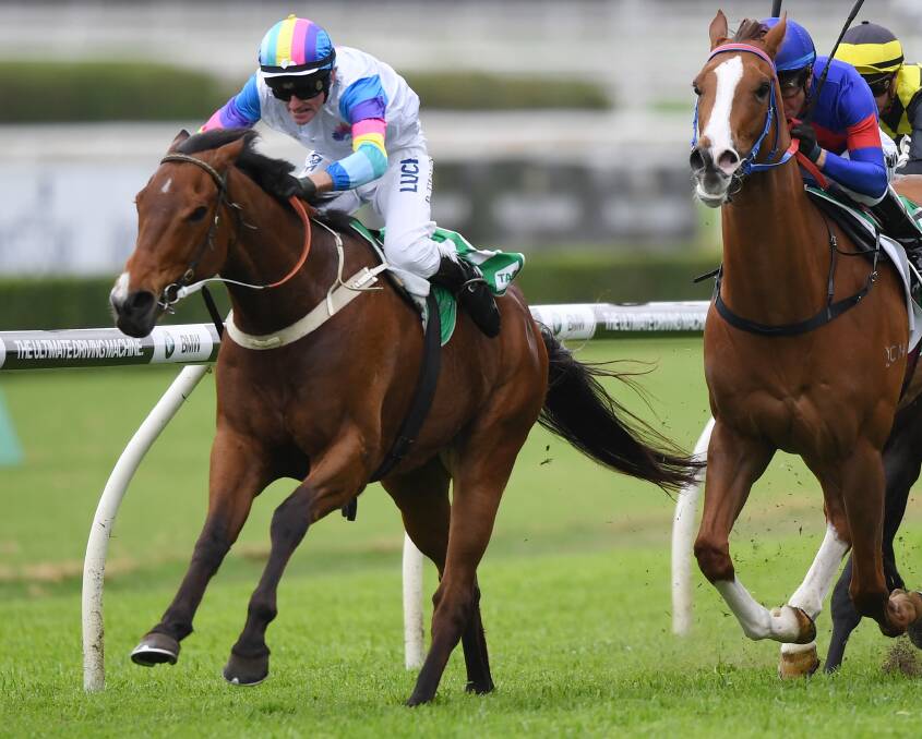HOT PROPERTY: The Rod Northam-trained After All That and jockey Robert Thompson win the Anniversary Highway handicap at Randwick on Everest day last year. Picture: AAP

