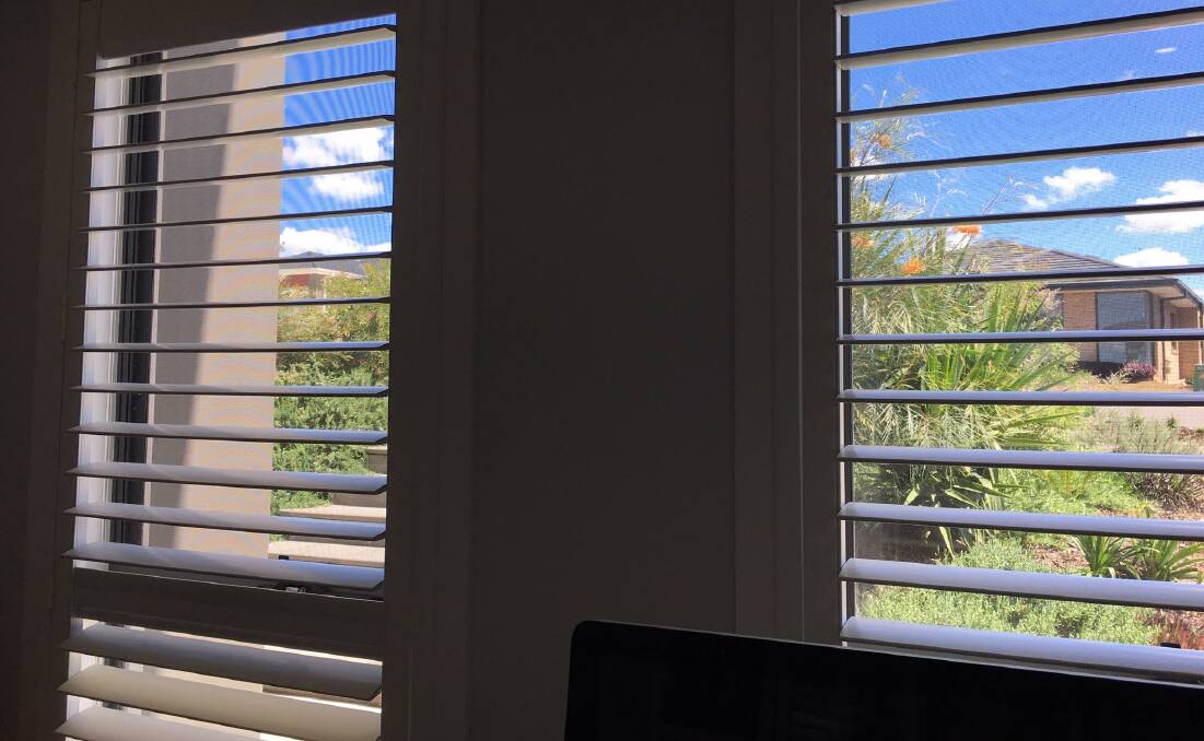 View from inside: I can admire the achievement of my front garden from my desk and keep tabs on local traffic. Shutters keep out the afternoon sun.