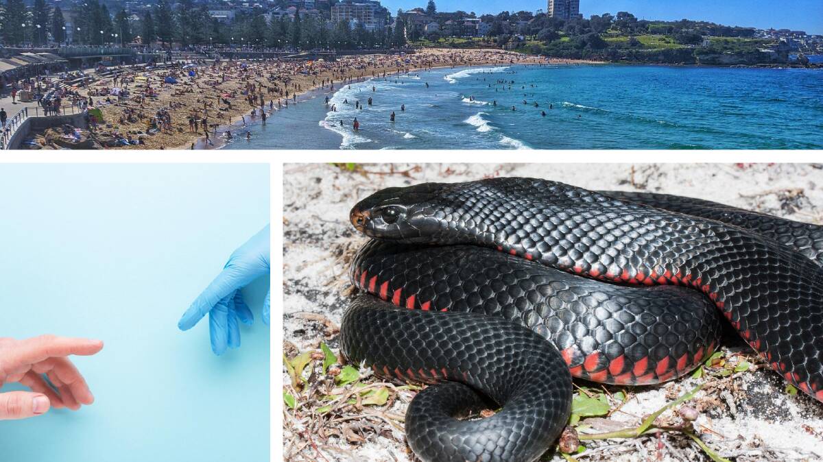 Sunday's all about sunshine, social distancing and snakes. Top photo: @JustinCaseyD on Twitter