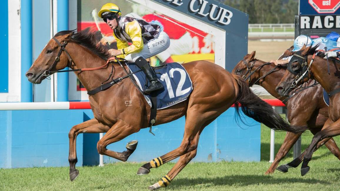 MAKING A MARK: Former Scone-trained galloper Clearly Innocent will contest the $10 million The Everest at Randwick on Saturday.