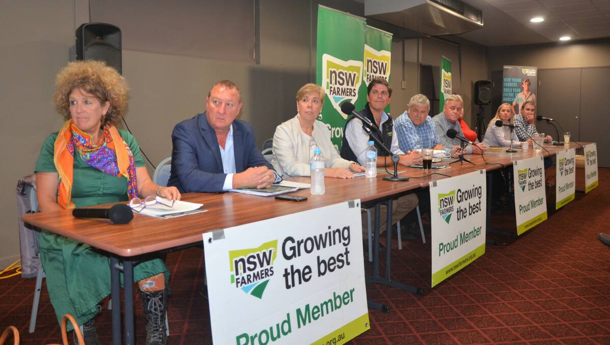 'Crippling' mouse plague dominates NSW Farmers by-election forum