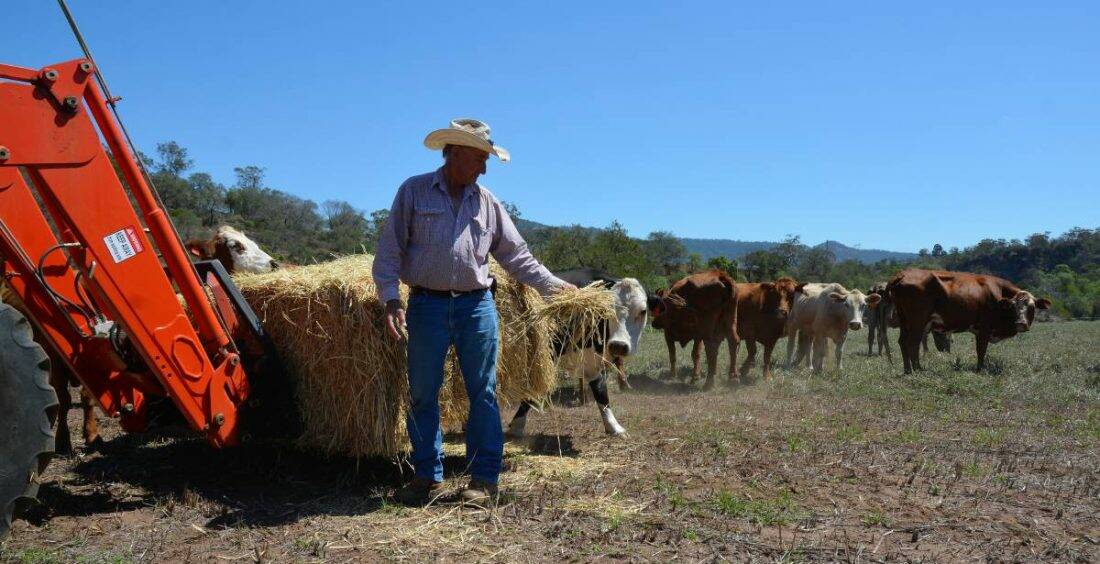 SUPPORT ANNOUNCED: Local farmer Paul Metcalf at his drought-stricken property “Belah” at Gundy in March. 