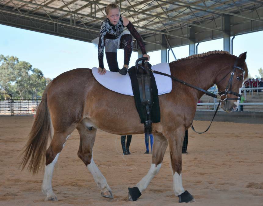 AGILITY: The Scone Equestrian Vaulters will return to the new White Park arena on the weekend to showcase their skill and host talent from outside the region. 