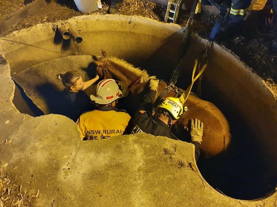 HORSEPOWER: The Wybong horse was saved from an underground water tank in the early hours of Tuesday morning. Picture: NSW RFS/Ben Anderson
