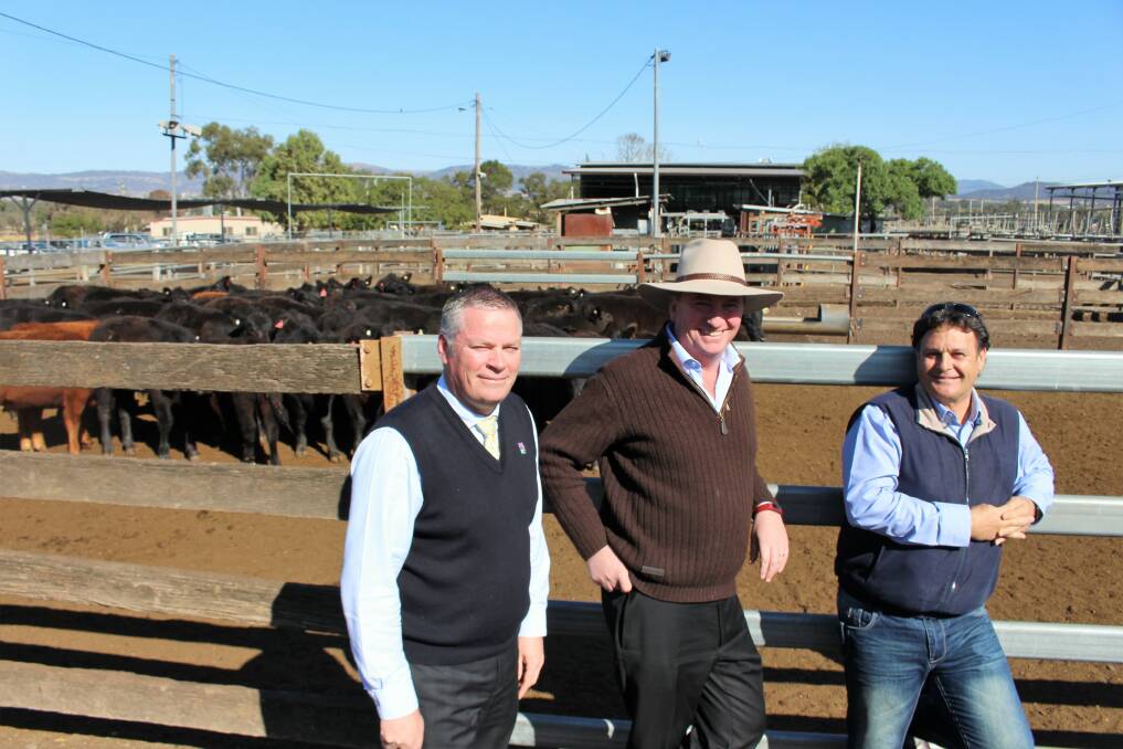 SALE YARD REVAMP: Deputy Prime Minister and Member for New England, Barnaby Joyce, Upper Hunter Shire Council General Manager Waid Crockett and Mayor Wayne Bedggood at the Scone Regional Livestock Selling Centre on Monday.