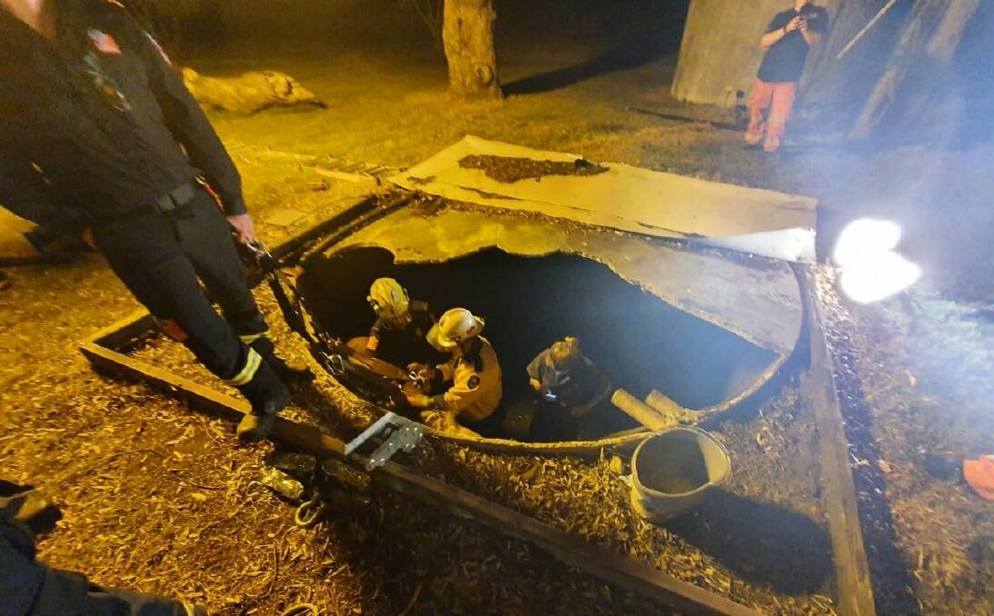 HORSEPOWER: The Wybong horse was saved from an underground water tank in the early hours of Tuesday morning. Picture: NSW RFS/Ben Anderson
