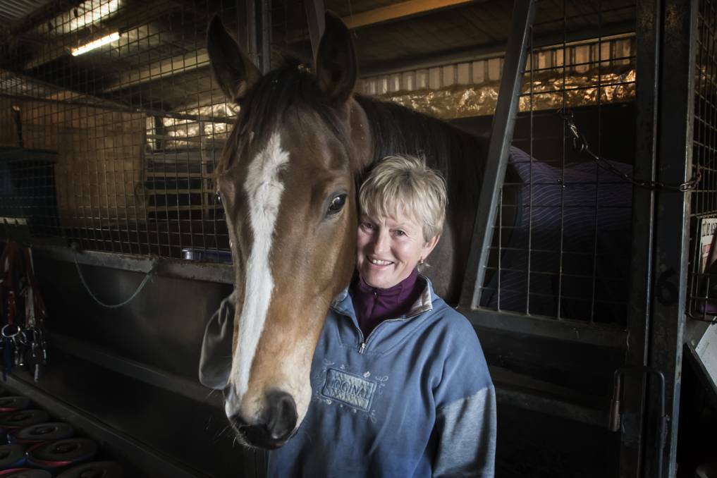 Tamworth trainer Sue Grills has a busy week ahead with her sights set on Scone on Friday. Photo: Peter Hardin