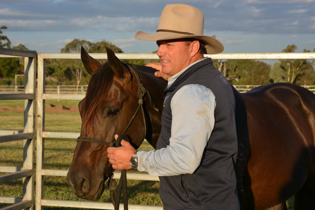 BOND: Guy McLean and his five-year-old stallion "Dreaming of Abbey" at White Park ahead of last year's Scone performance. Photo: Caitlin Reid