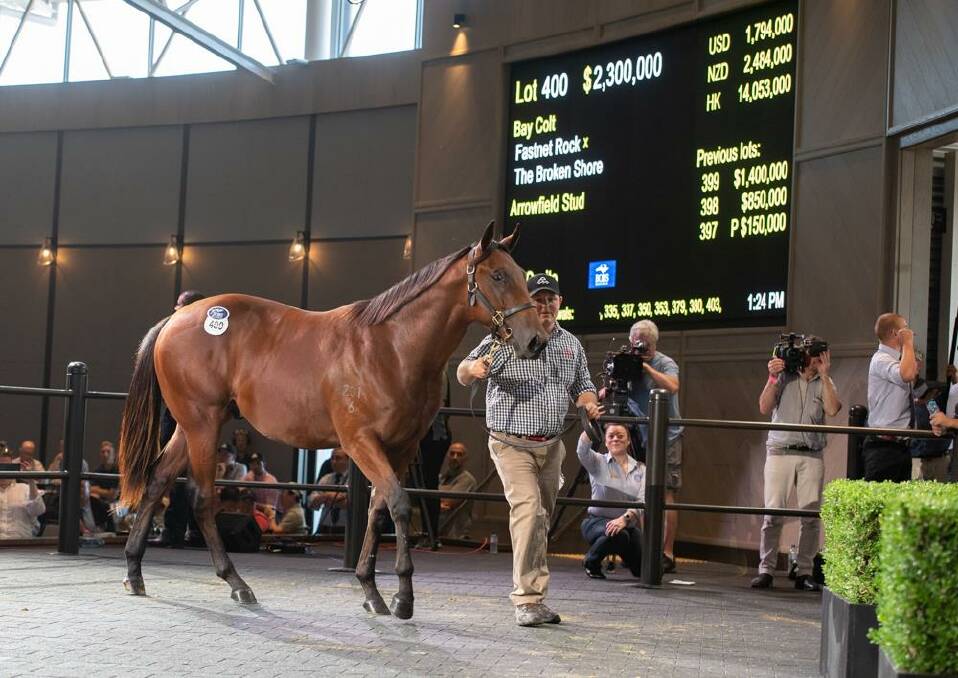 OVERALL SALE TOPPER: A Fastnet Rock x The Broken Shore colt cracked $2.3 million on Day 3.
